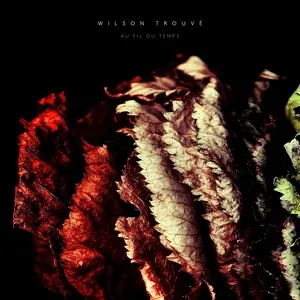 Tải nhạc Encore - Wilson Trouve
