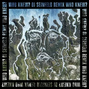 Who Knew? (DJ Seinfeld Remix) - Disclosure, Mick Jenkins