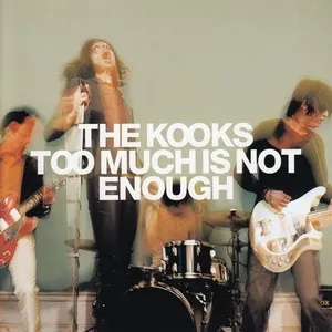 Too Much Is Not Enough - The Kooks