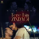 Nghe nhạc Tere Bin Zindagi - Mika Singh