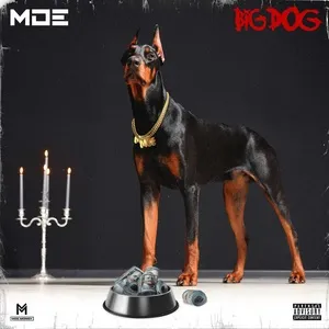 Big Dog - Moe