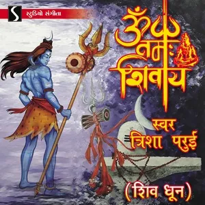 Om Namah Shivay - Trisha Parui