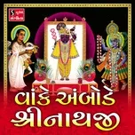 Nghe và tải nhạc Vanke Ambode Shrinathji nhanh nhất về điện thoại
