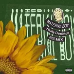 Download nhạc hay Material Boy (Ricky Desktop Remix) hot nhất về máy