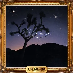 Don't Waste Your Wishes - The Killers