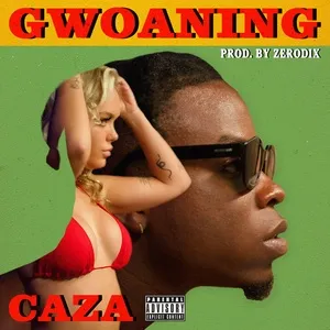 Gwoaning - Caza