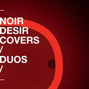 Covers et duos - Noir Désir