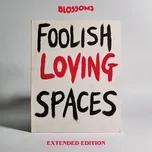 Tải nhạc Zing Foolish Loving Spaces (Extended Edition) chất lượng cao