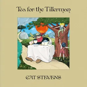 Tea For The Tillerman (Super Deluxe) - Cat Stevens