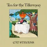 Tea For The Tillerman (Deluxe) - Cat Stevens