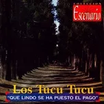 Nghe nhạc Que Lindo Se Ha Puesto El Pago - Los Tucu Tucu