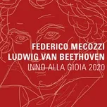 Ludwig Van Beethoven: Inno alla gioia 2020 - Federico Mecozzi