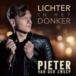 Lichter In Het Donker - Pieter Van Der Zweep