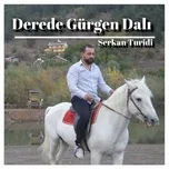 Nghe và tải nhạc Derede Gürgen Dalı Mp3 miễn phí về điện thoại