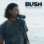 The Kingdom (Acoustic) - Bush