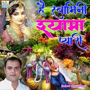 Hey Swamini Shyama Pyari - Rahul Chaudhari