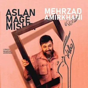 Aslan Mage Mishe - Mehrzad Amirkhani