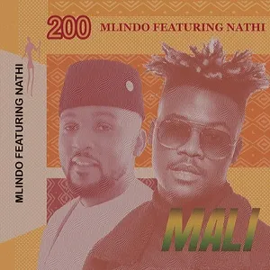 Nghe nhạc Mali - Mlindo The Vocalist, Nathi