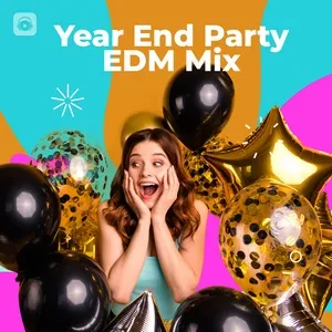 Year End Party - EDM Mix - V.A
