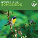 Nature & Music: Songbirds - Brian Hardin