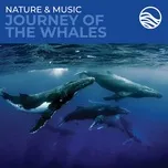 Nature & Music: Journey Of The Whales - David Arkenstone