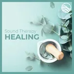 Nghe Ca nhạc Sound Therapy: Healing - David Lyndon Huff
