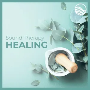Sound Therapy: Healing - David Lyndon Huff