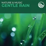 Nature & Music: Gentle Rain - David Arkenstone