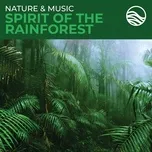Nghe nhạc Nature & Music: Spirit Of The Rainforest trực tuyến