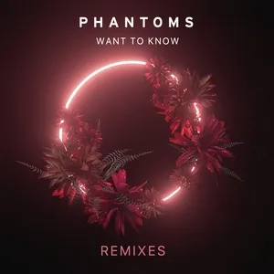 Want To Know (Remixes) - Phantoms