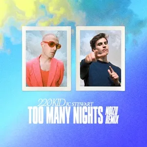 Too Many Nights (Noizu Remix) - 220 Kid, JC Stewart