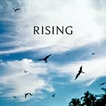 rising - Reuben And The Dark