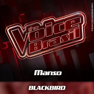 Blackbird (Ao Vivo) - Manso