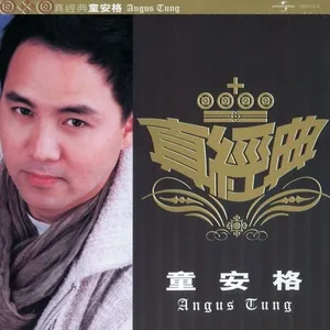 Zhen Jin Dian - Angus Tung - Angus Tung