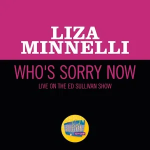 Who's Sorry Now (Live On The Ed Sullivan Show, October 31, 1965) - Liza Minnelli