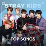 Ca nhạc Những Bài Hát Hay Nhất Của Stray Kids - Stray Kids