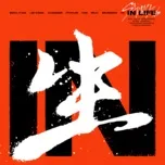 Nghe và tải nhạc IN生 (Repackage Album) Mp3 trực tuyến