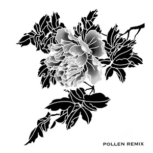 Pollen Remix (Mini Album) - VENKO, PL4NET DUST
