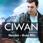 Nghe nhạc Nazikê, Gula Min - Ciwan