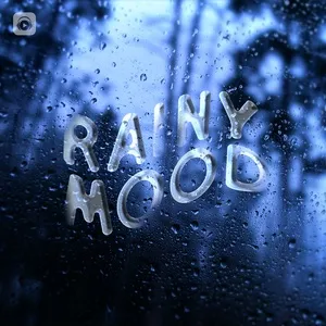 Rainy Mood - V.A