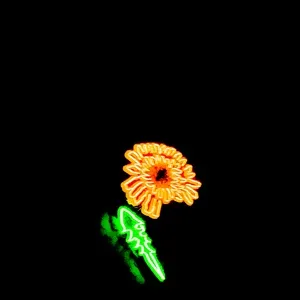 Hi-Flower (Single) - ABOUT