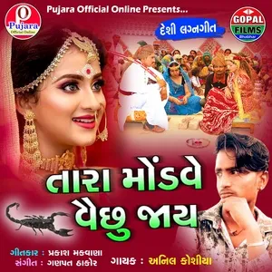 Tara Mondve Vichhu Jay (Single) - Anil Kosiya