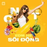 EDM Hè Sôi Động