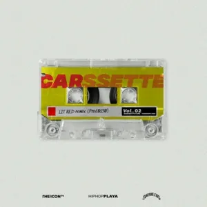 Ca nhạc LIT RED remix (Prod.0130) (Single) - CARSSETTE, Viceversa