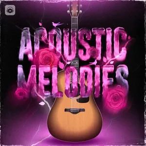 Acoustic Melodies - V.A