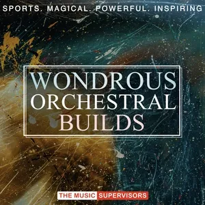 Wondrous Orchestral Builds - V.A