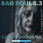 Download nhạc TMS063. Sad Souls 3 (Grand And Dramatic Orchestral) miễn phí