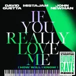 Nghe nhạc If You Really Love Me (How Will I Know) [David Guetta & MORTEN Future Rave Remix] - David Guetta, MistaJam, John Newman