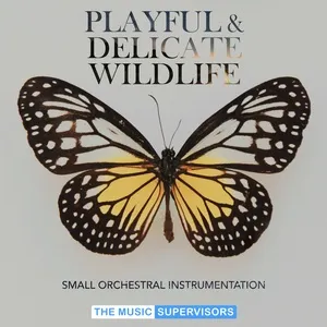 TMS059. Playful And Delicate Wildlife (Small Orchestra) - V.A