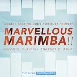 Tải nhạc TMS009. Marvellous Marimba hay nhất